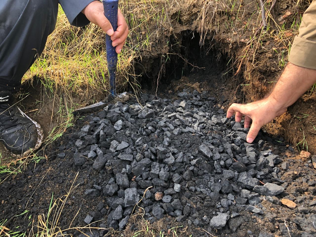 Coal deposit sampling