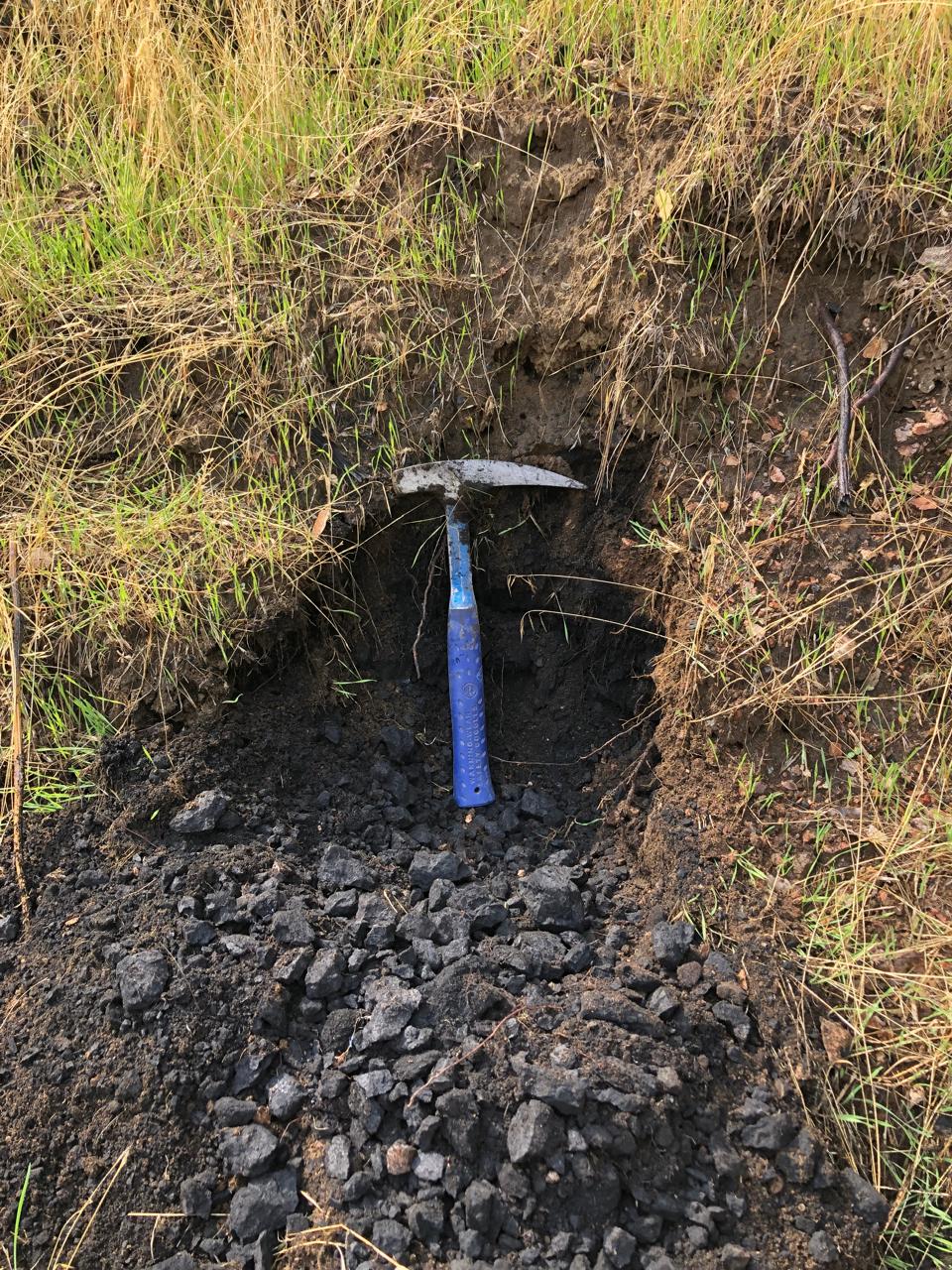 Coal excavation fieldwork