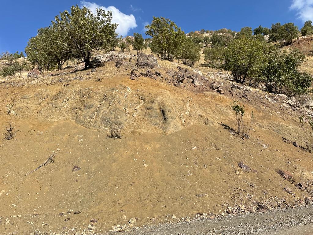 Geological formation on hillside