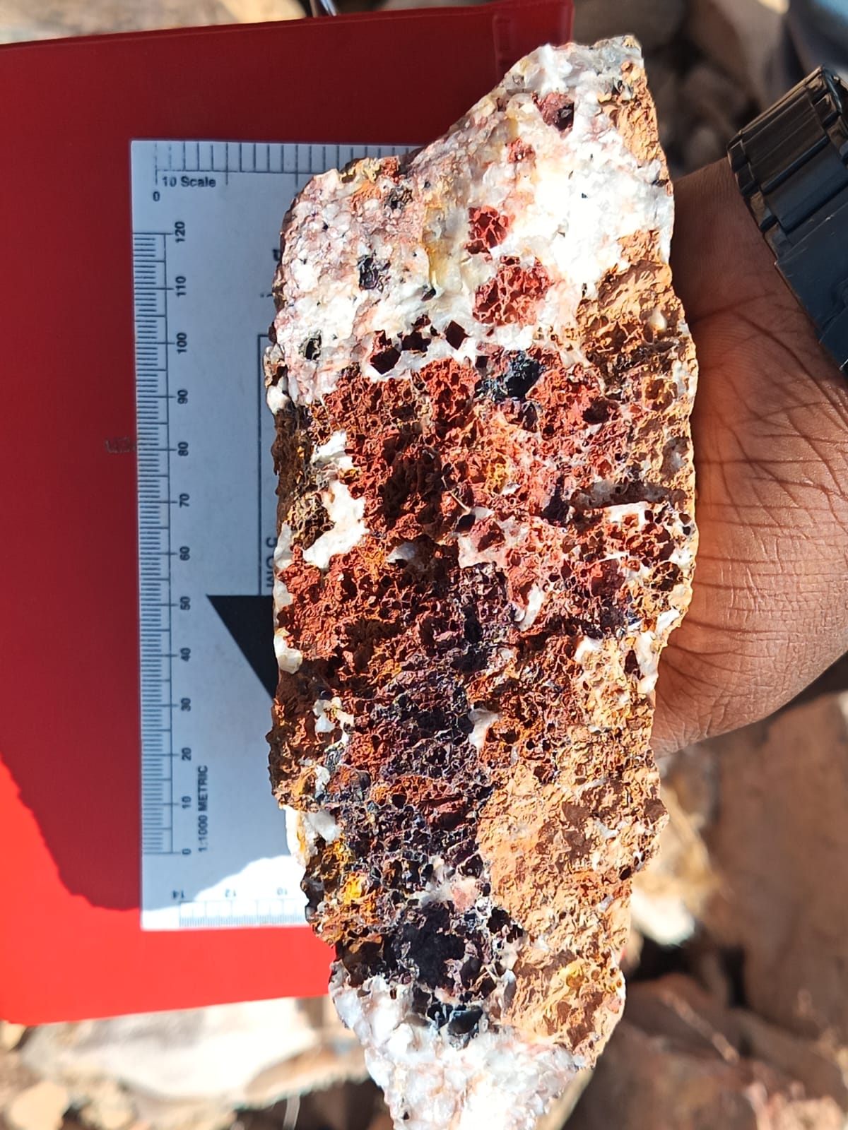 Mineral sample with red scale card