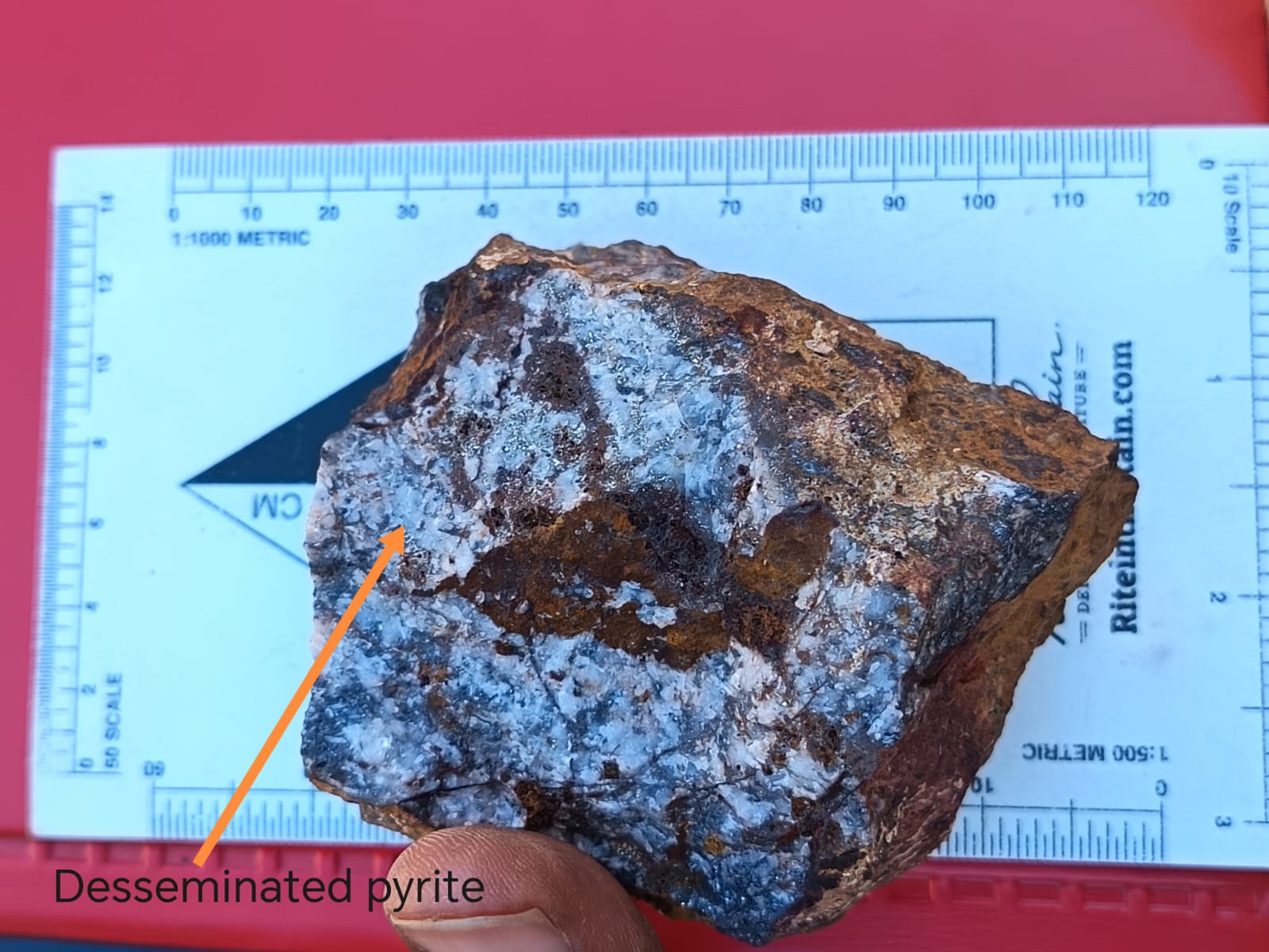 Disseminated pyrite sample